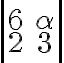 \left|\begin{array}{cc}6&\alpha\\2&3\end{array}\right|